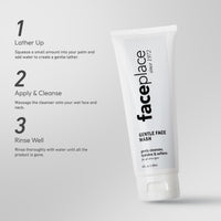 Gentle Face Wash - FACE PLACE