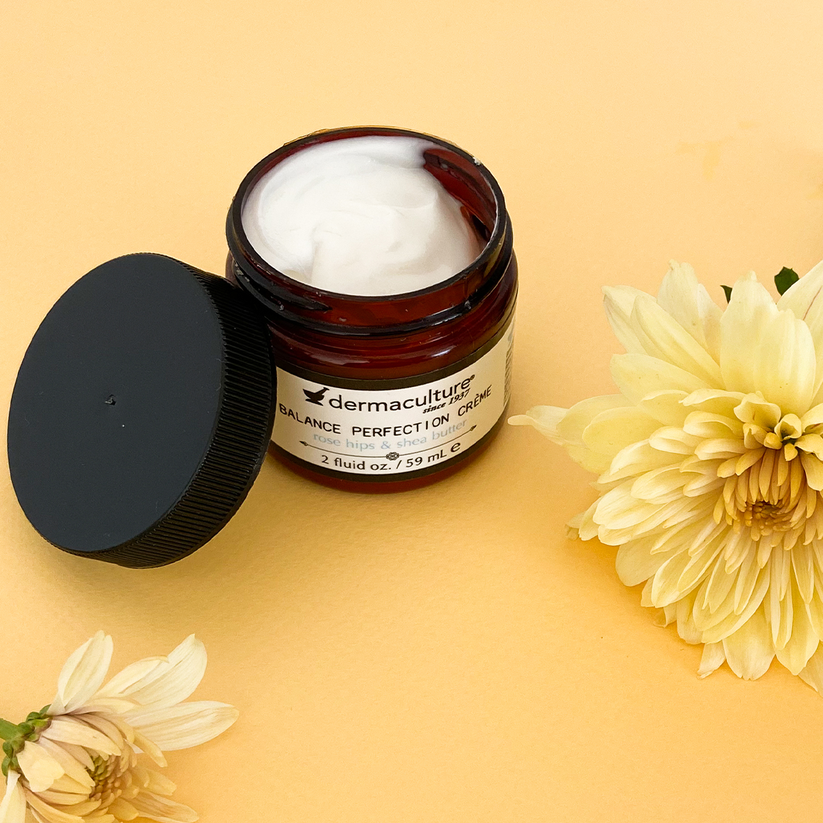 Balance Perfection Crème - FACE PLACE